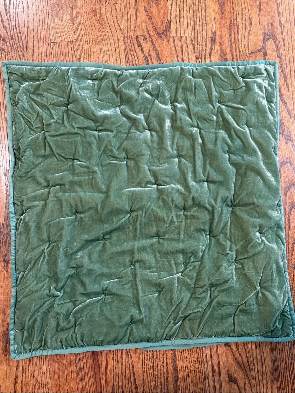 Crate & Barrel Audra Velvet Green Euro Sham Holiday/Christmas/Winter/Lodge